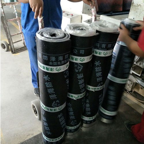 sbs改性瀝青防水卷材 屋面防水 10卷材 經久耐用型卷材