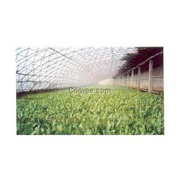 優質大棚膜廠家直銷——山東青州恒豐聚酯胎大棚膜